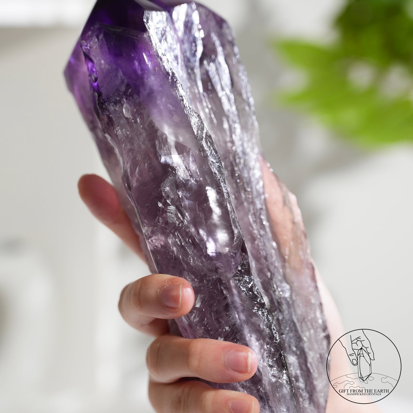 半打磨雙生紫水晶權杖