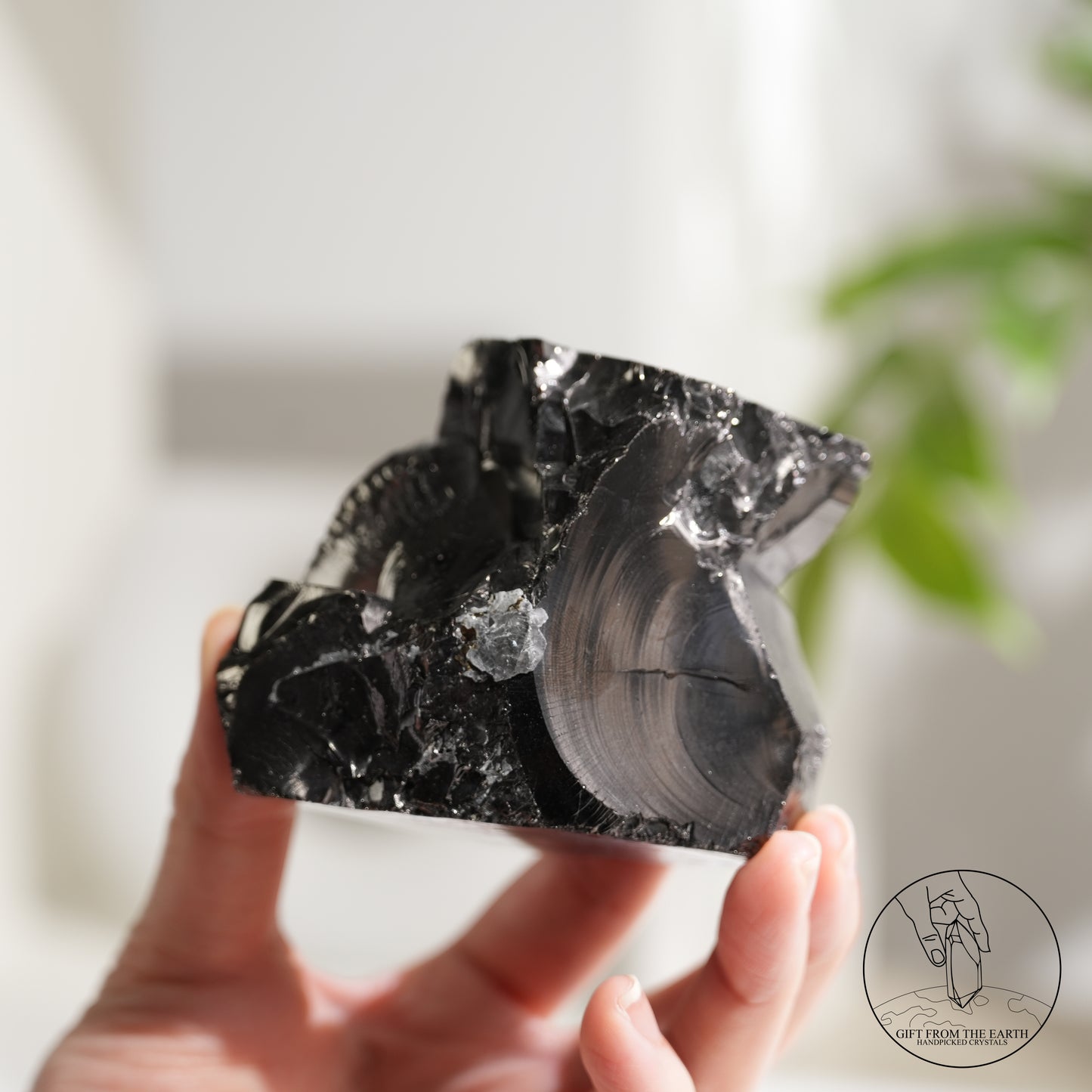 Colombian carbon-included quartz 