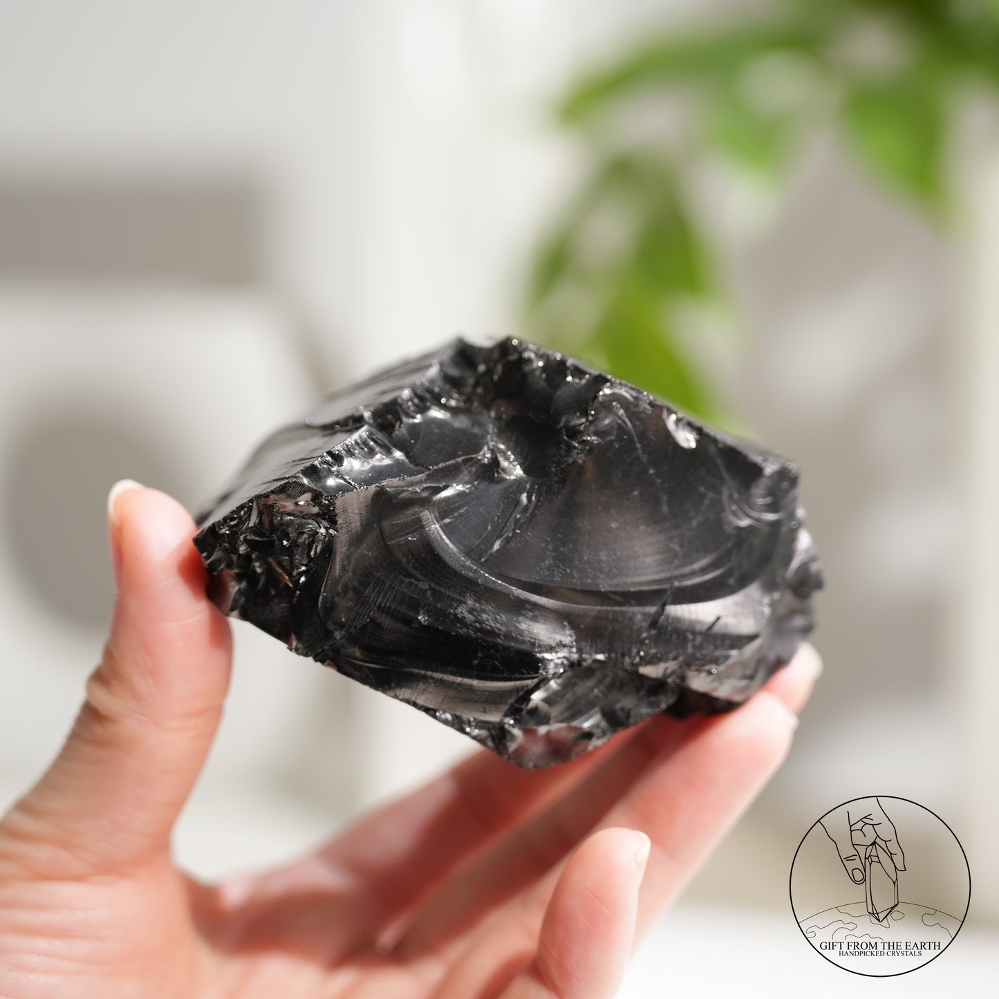 Colombian carbon-included quartz 