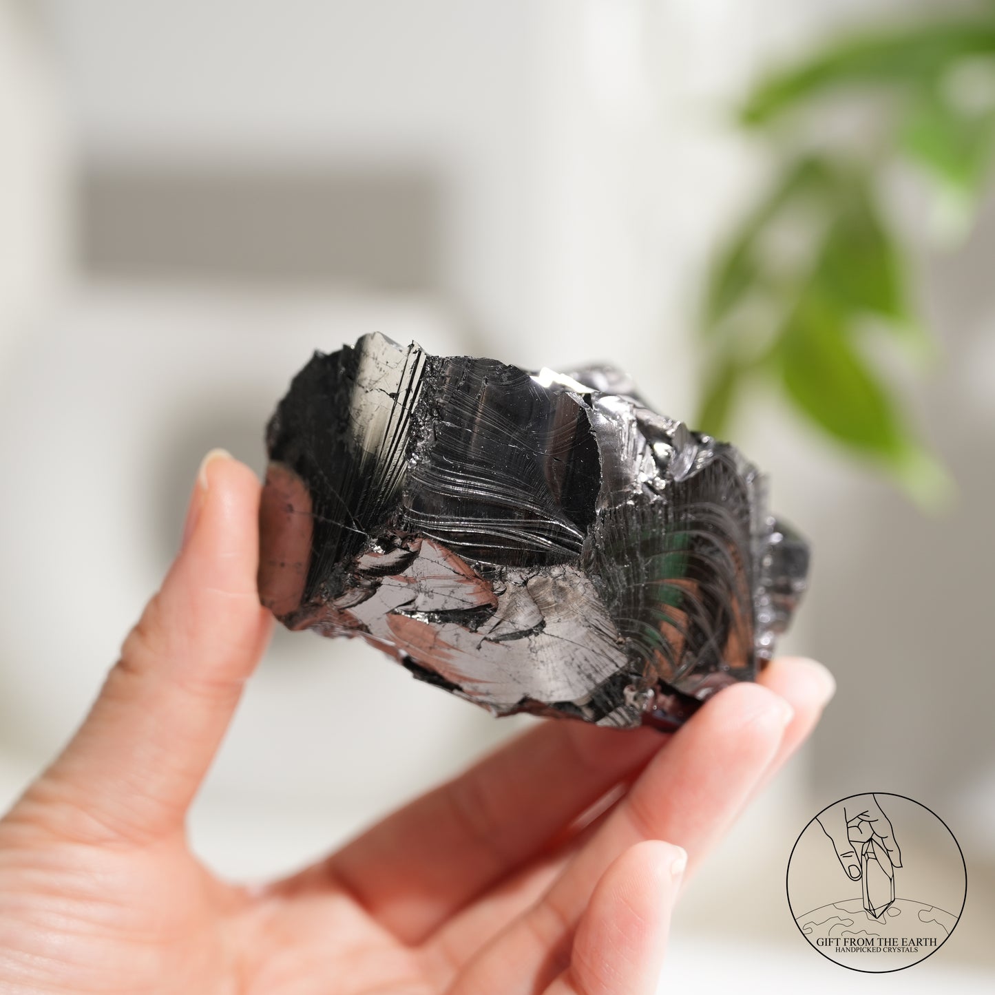 Colombian carbon-included quartz 