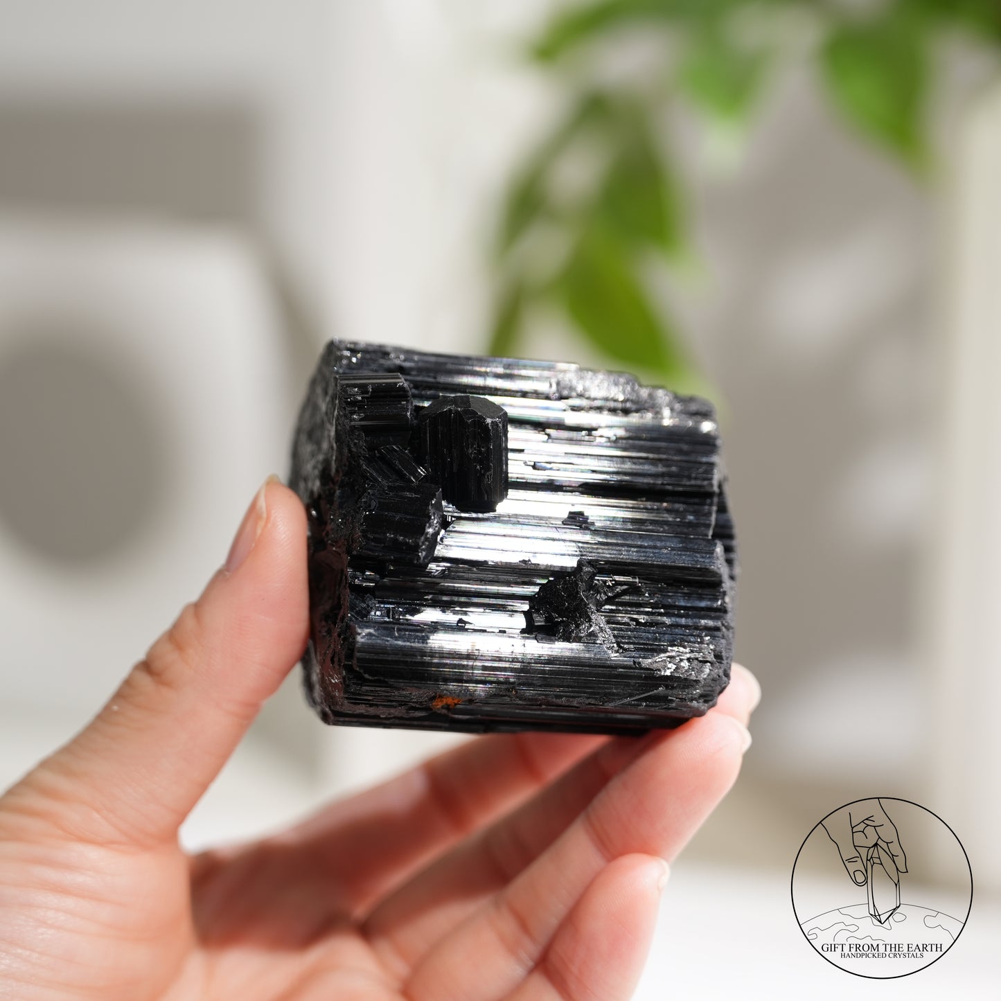 莫桑比克亮面黑碧璽原石