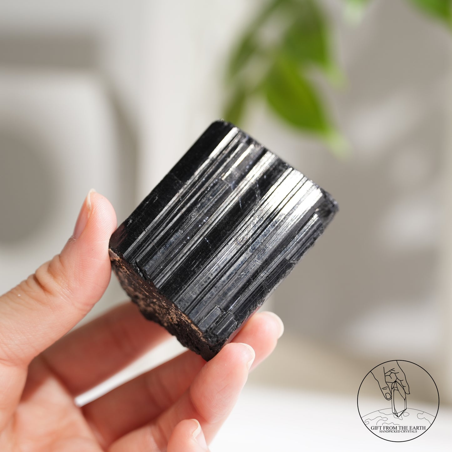 莫桑比克亮面黑碧璽原石