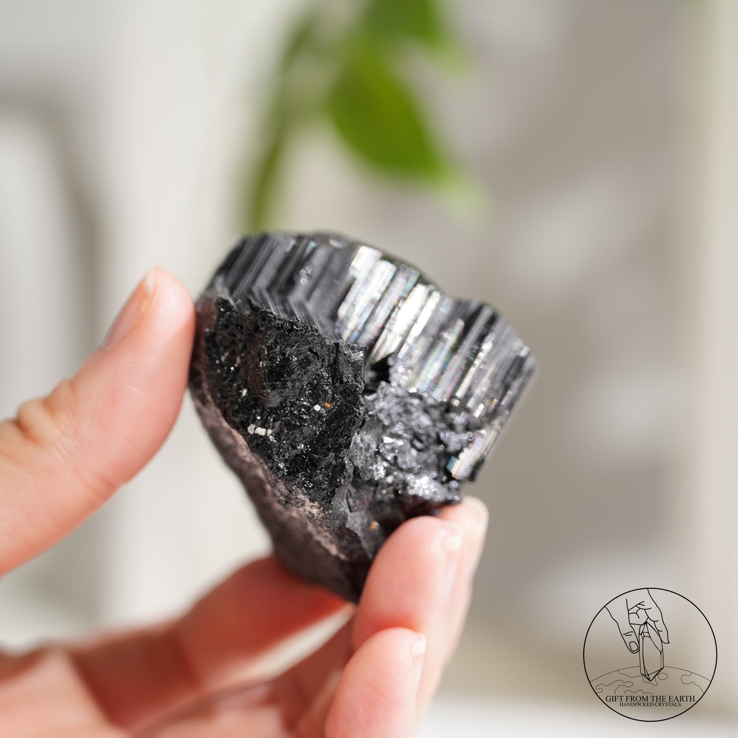 莫桑比克亮面黑碧璽原石