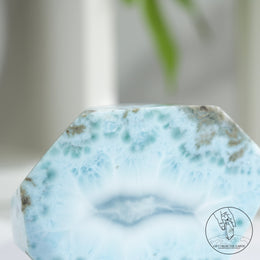 拉利瑪隨形