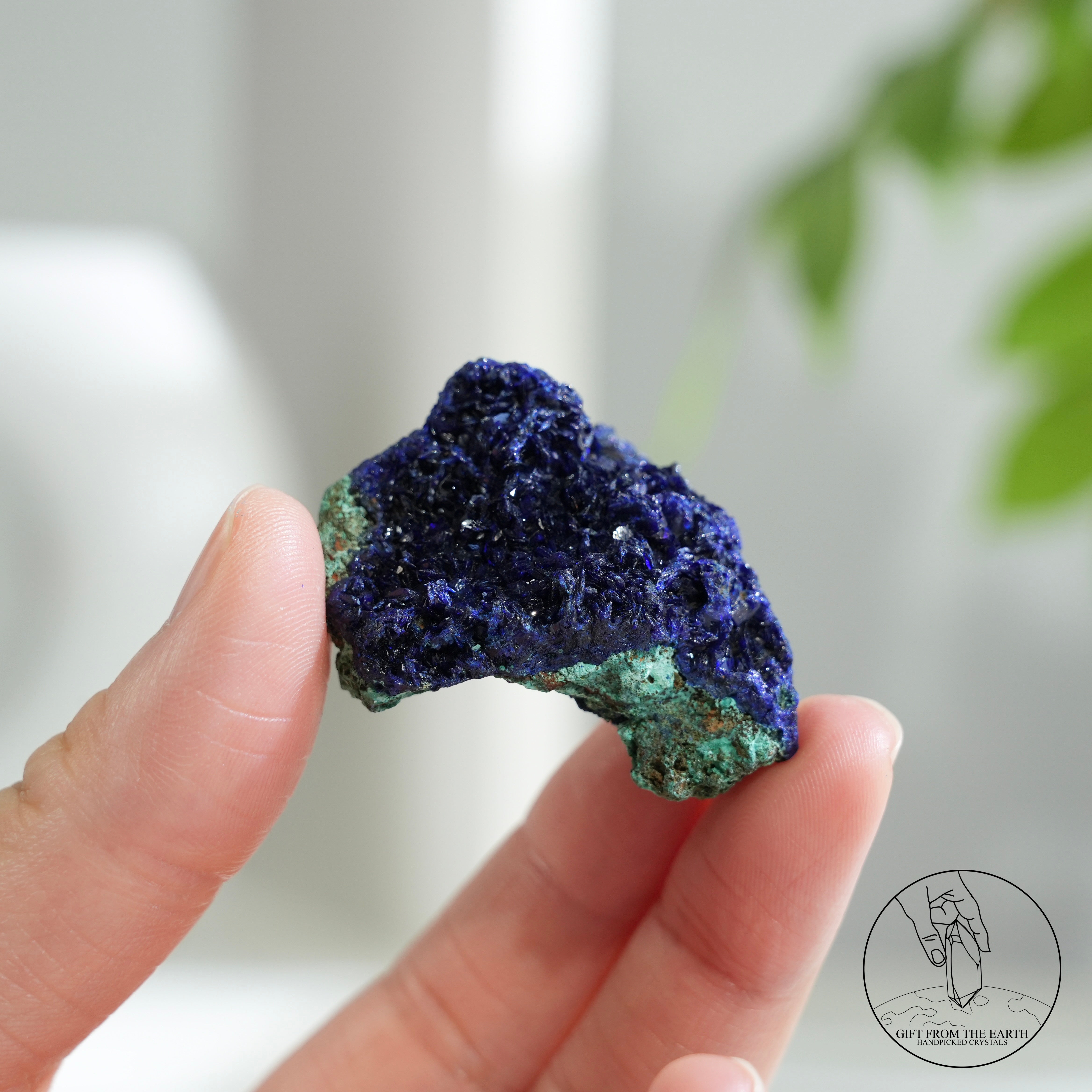 藍銅礦原石– GFE Handpicked Crystals