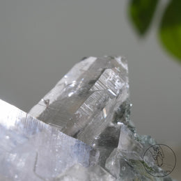 喜馬拉雅十字雙生白水晶簇綠幽靈金鈦晶共生