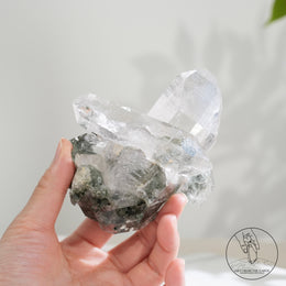 喜馬拉雅十字雙生白水晶簇綠幽靈金鈦晶共生
