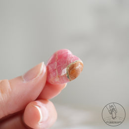 阿根廷紅紋石心