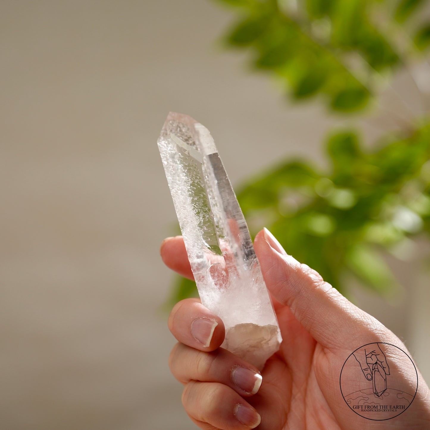 Brazilian Sirius quartz cluster