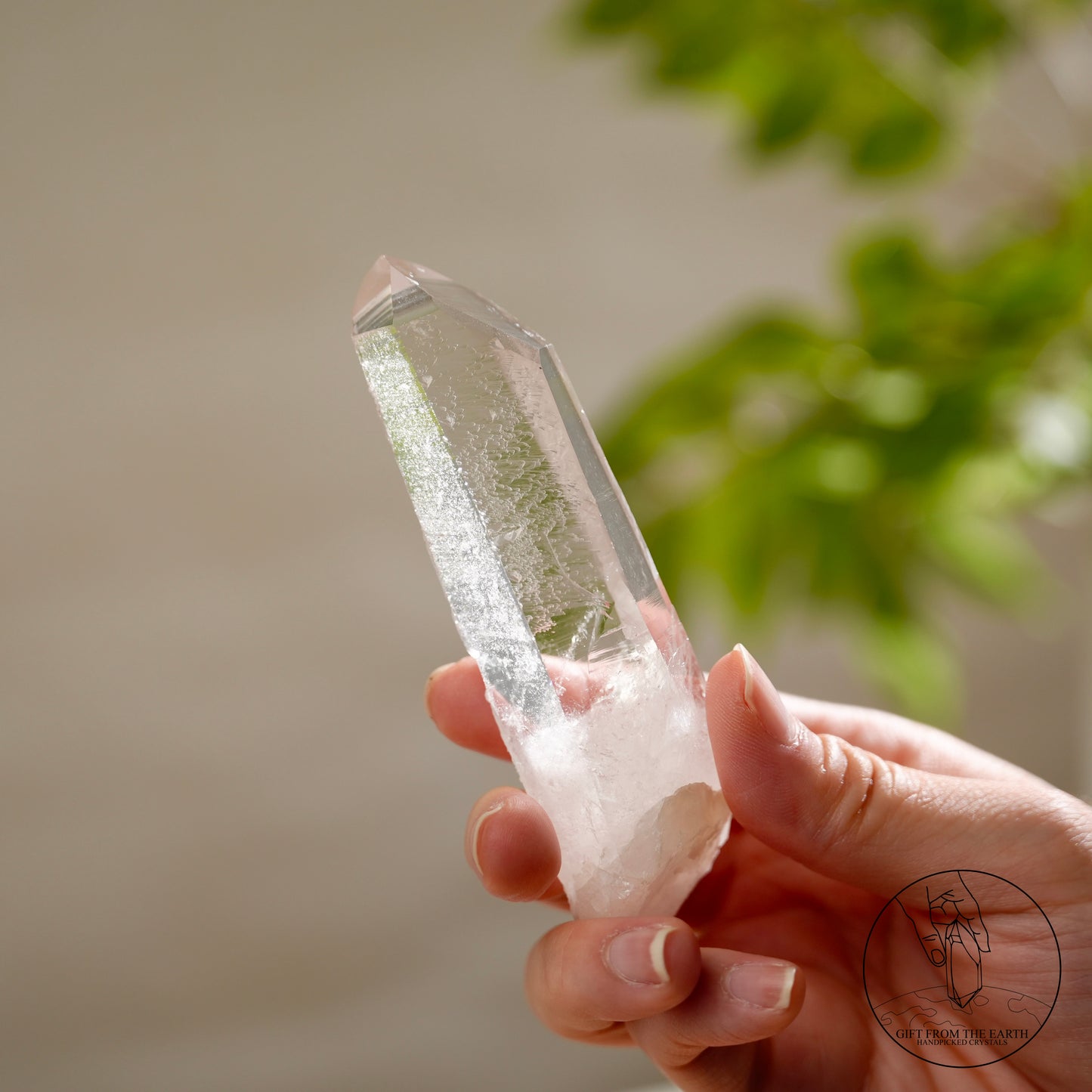 Brazilian Sirius quartz cluster