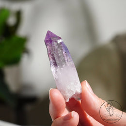 克魯茲紫水晶原石