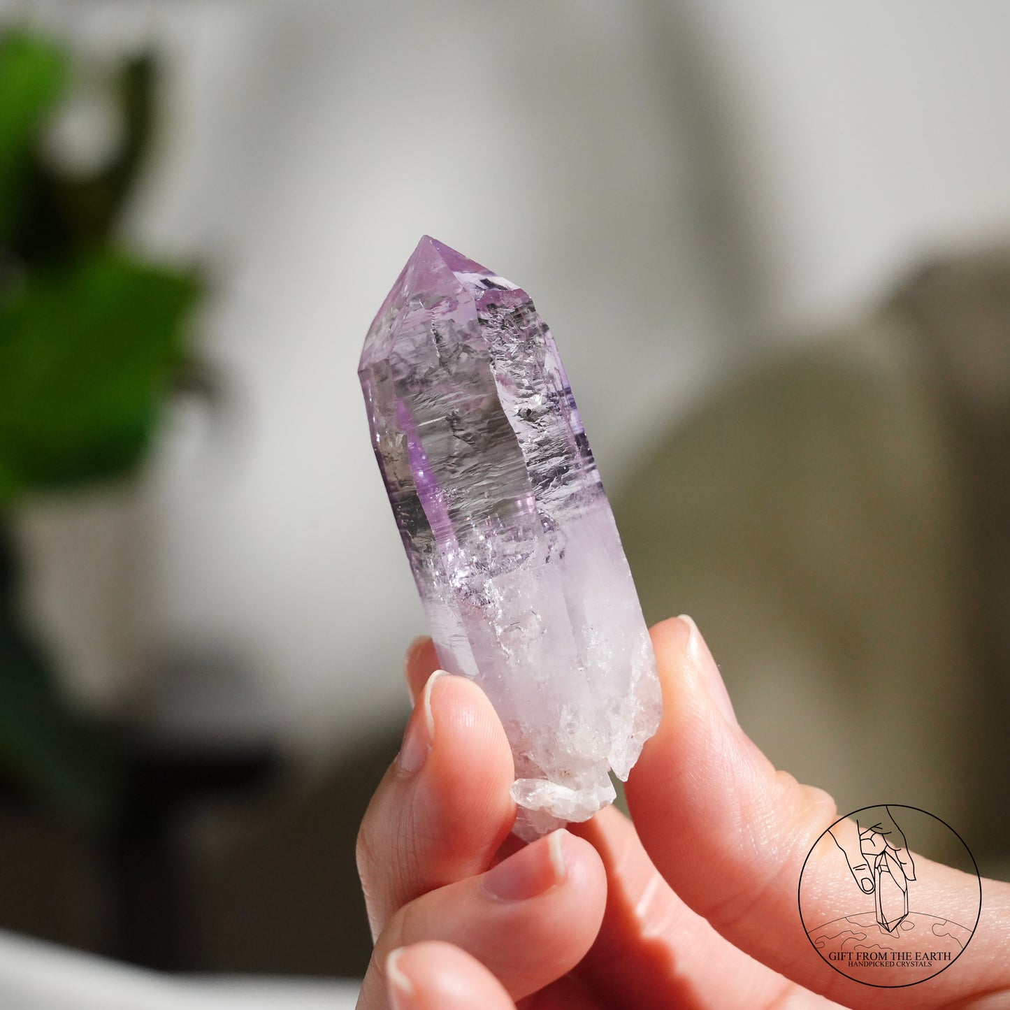 Vera Cruz amethyst