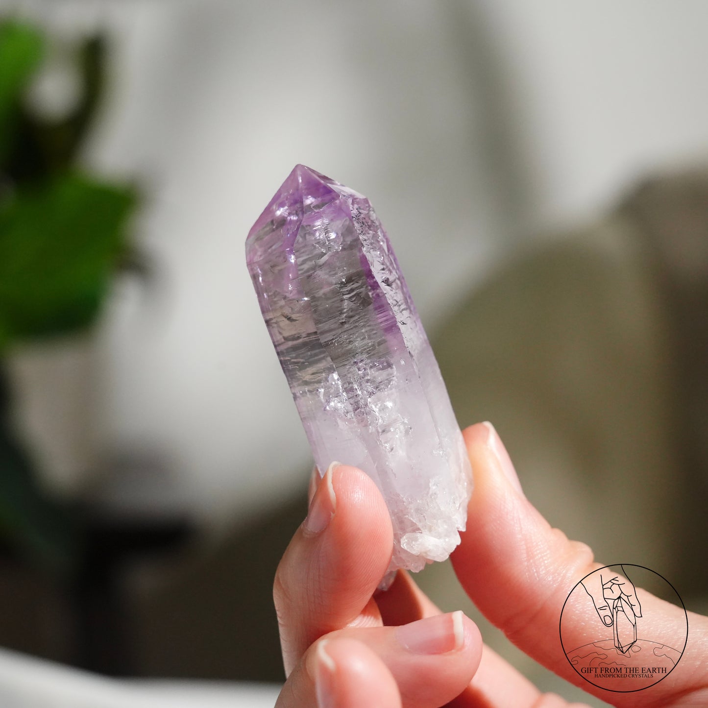 Vera Cruz amethyst