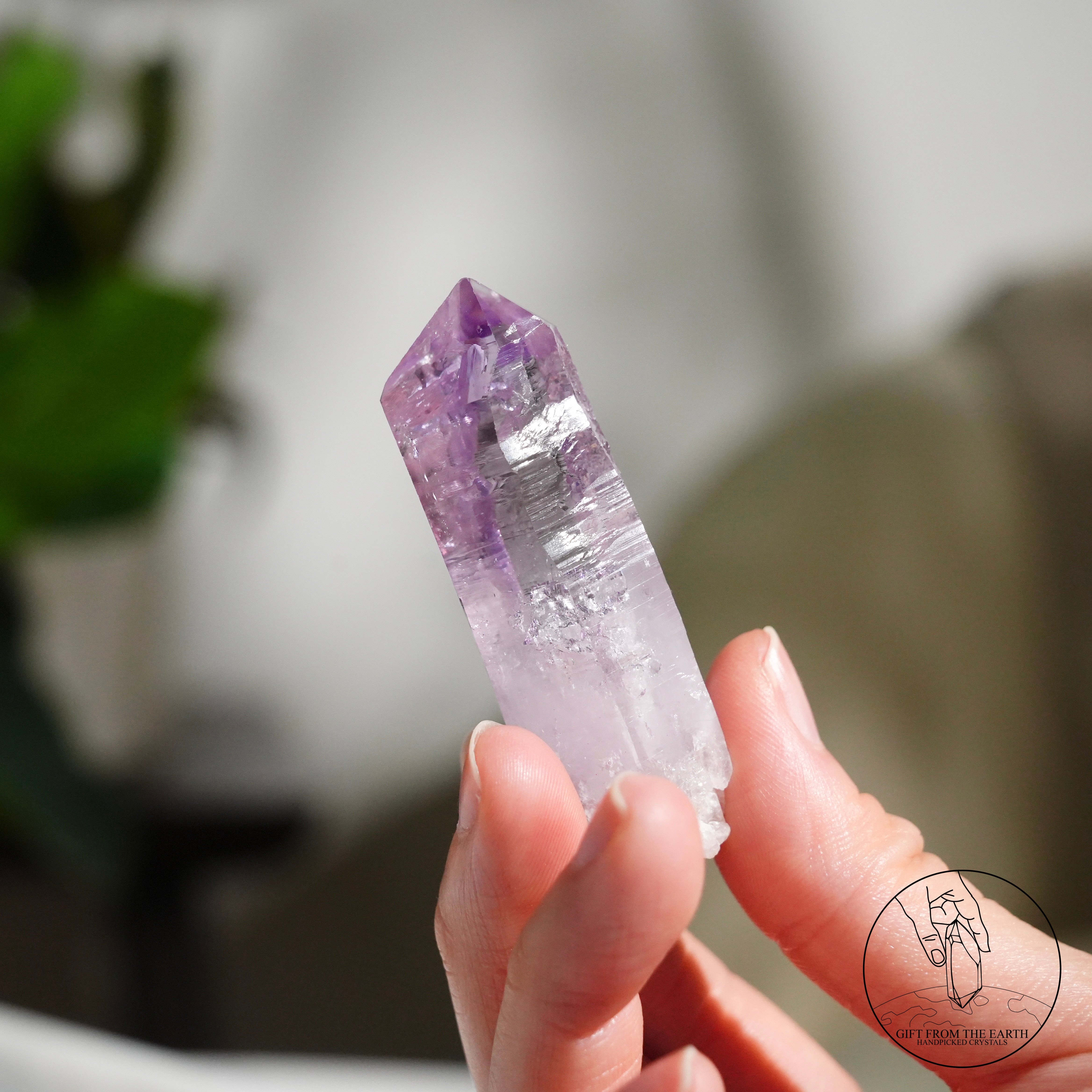 克魯茲紫水晶原石– GFE Handpicked Crystals