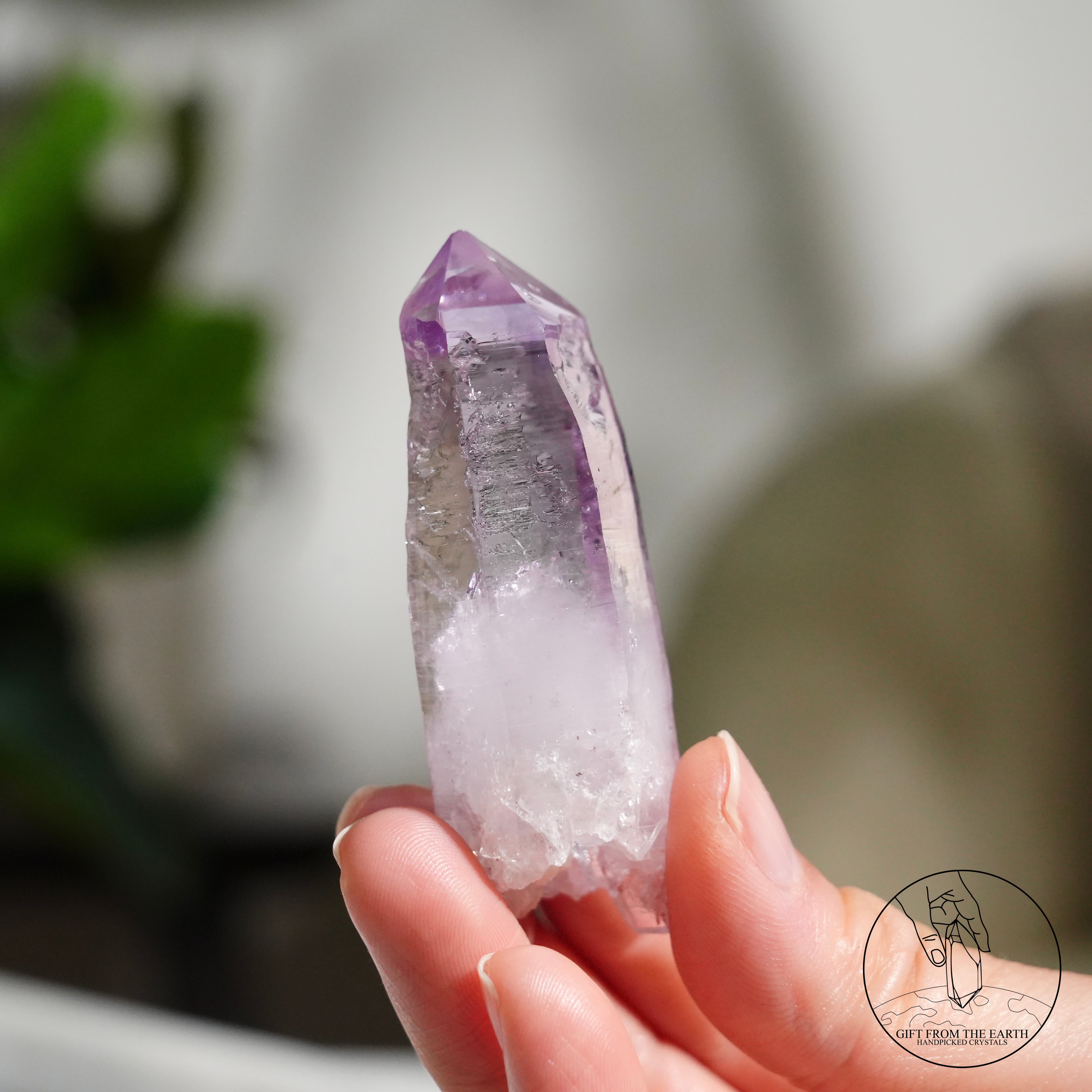 克魯茲紫水晶原石– GFE Handpicked Crystals