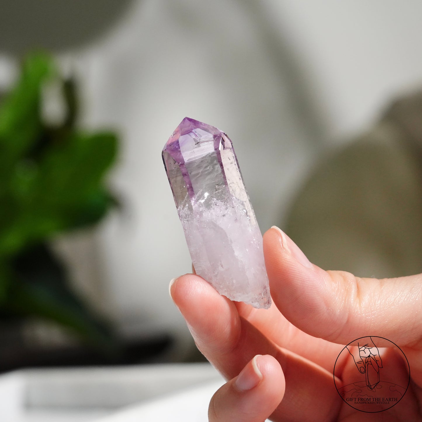 Vera Cruz amethyst