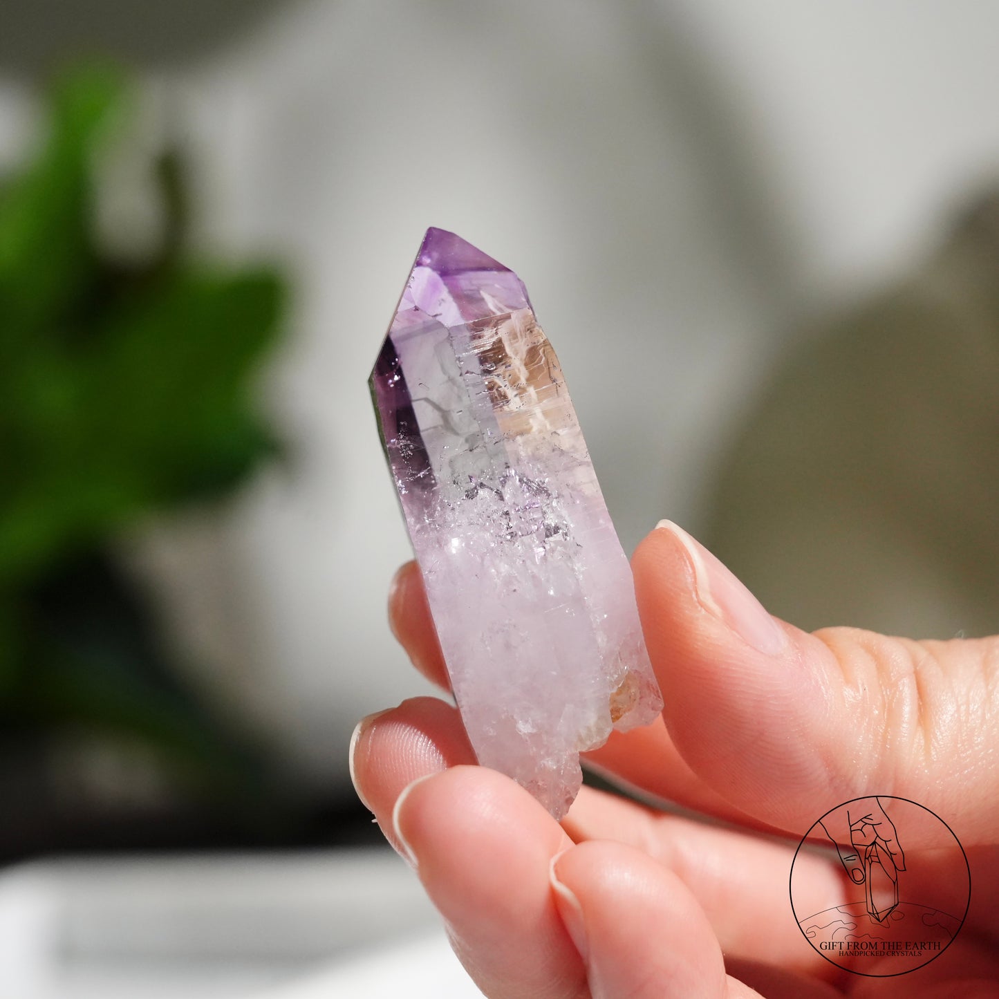 Vera Cruz amethyst