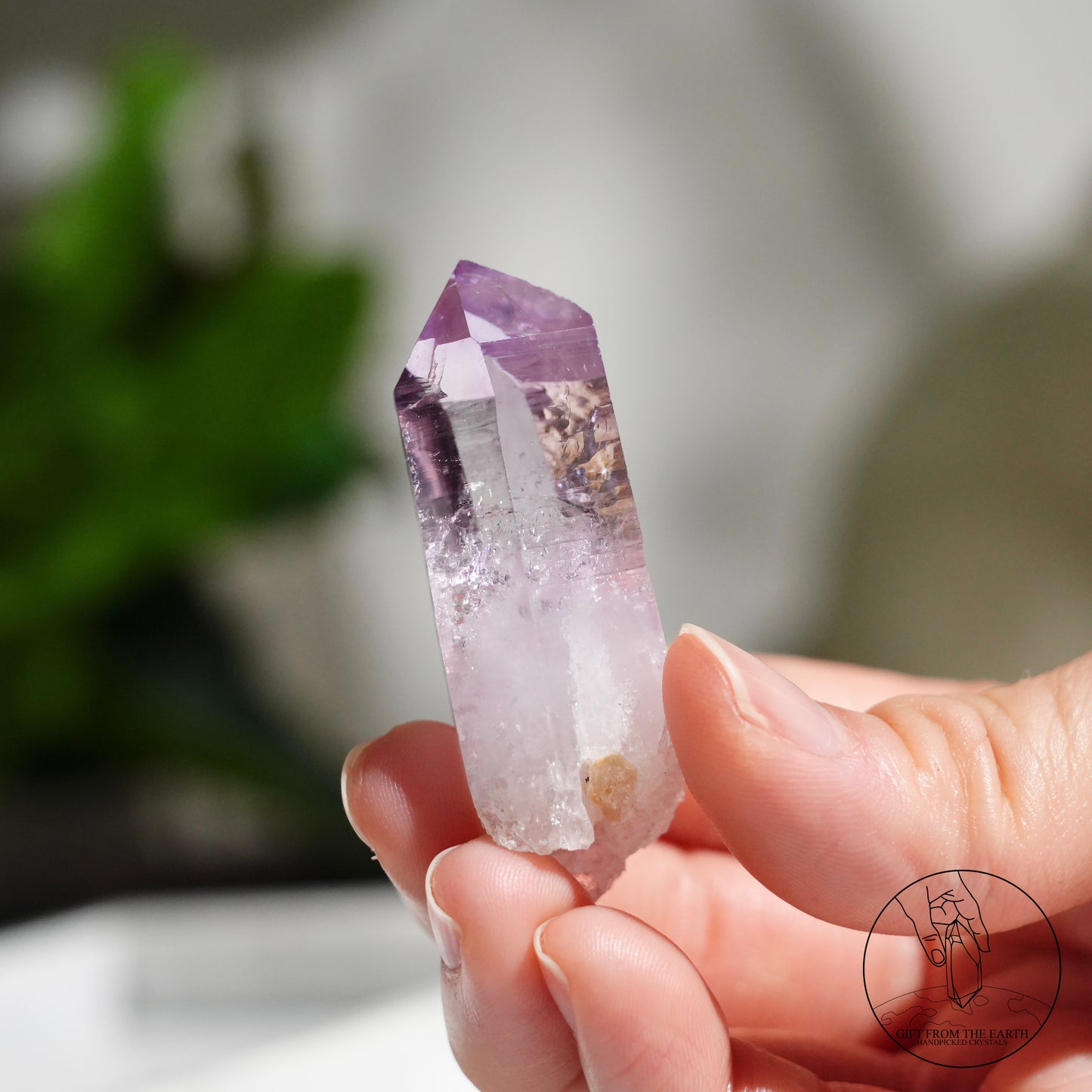 Vera Cruz amethyst