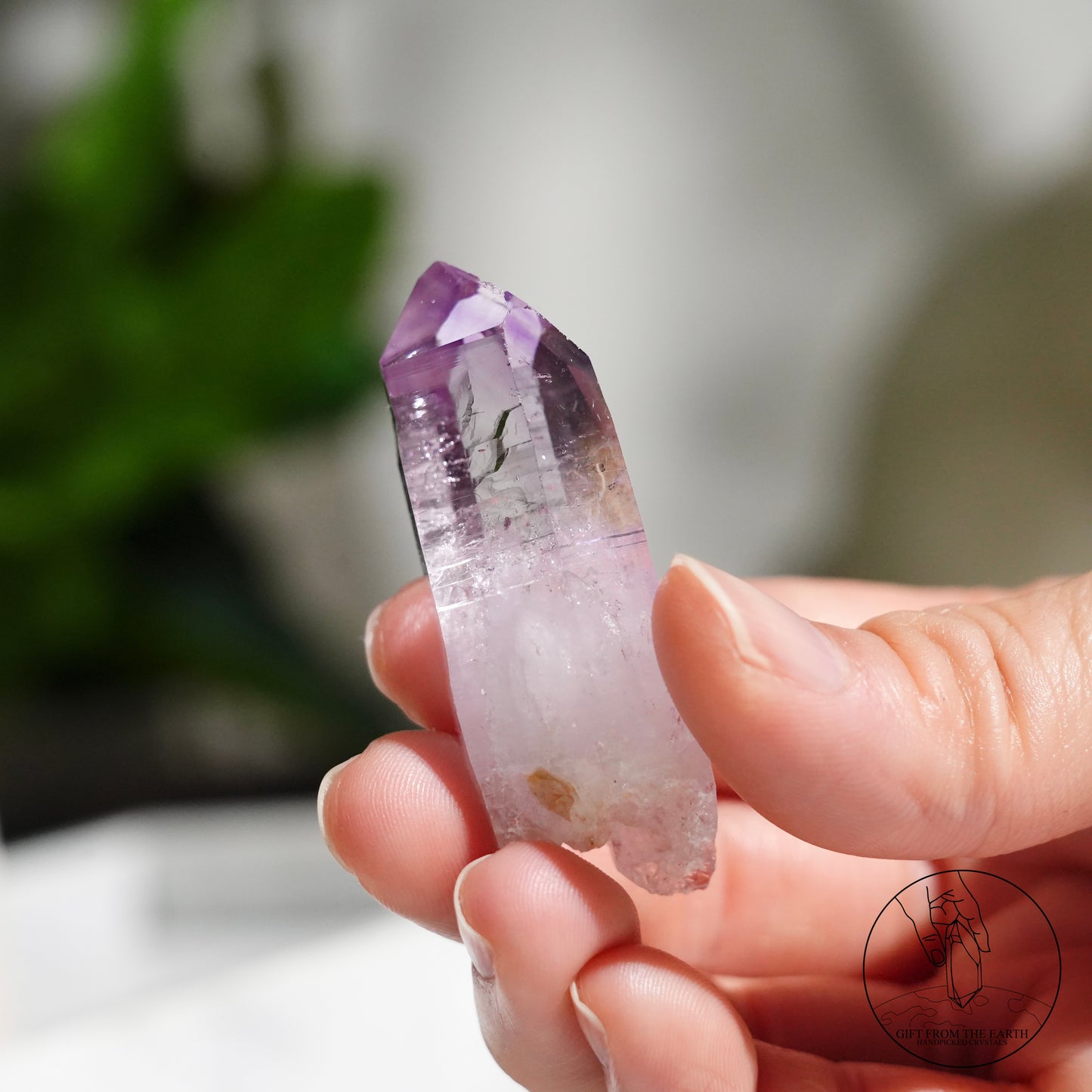 Vera Cruz amethyst