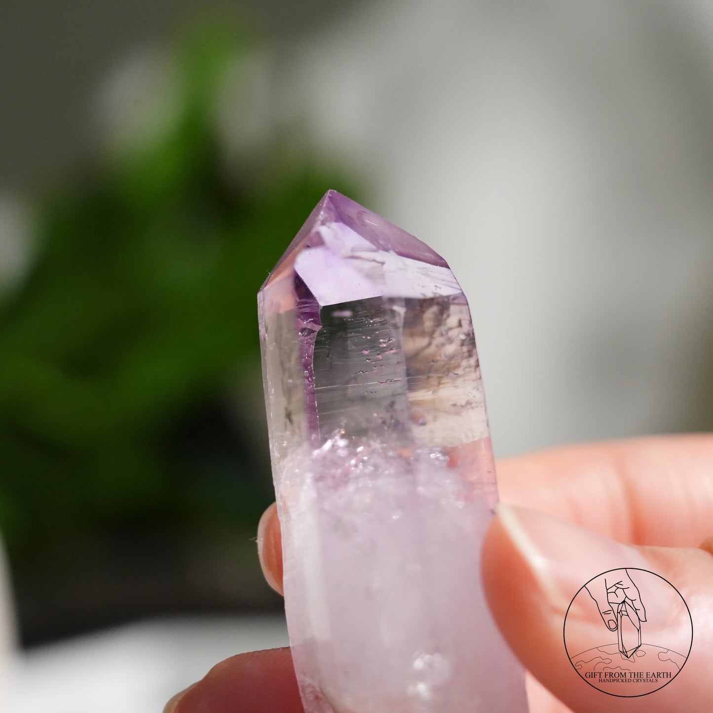 Vera Cruz amethyst