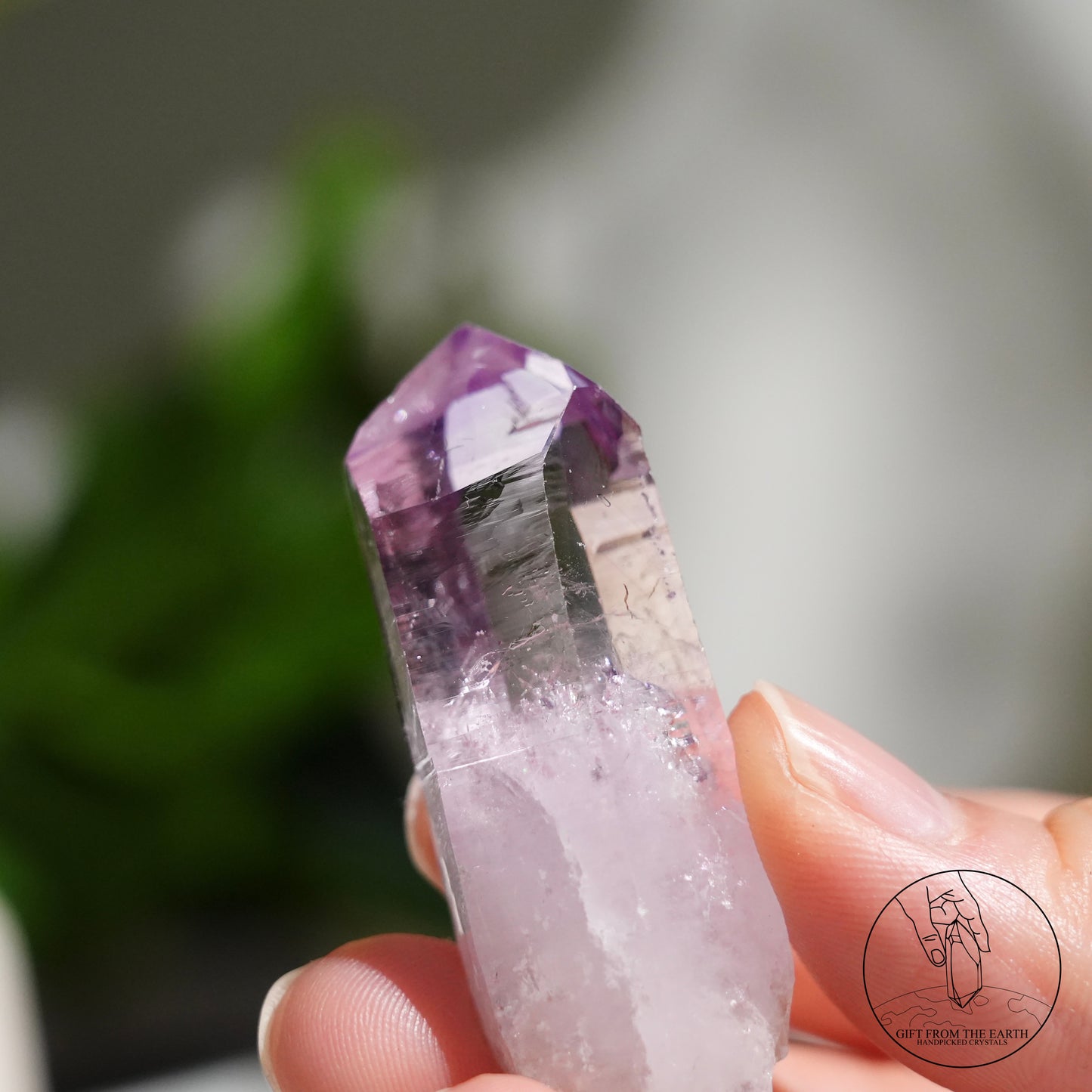Vera Cruz amethyst