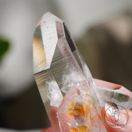 哥倫比亞三生雷姆利亞水晶黃金療癒者共生