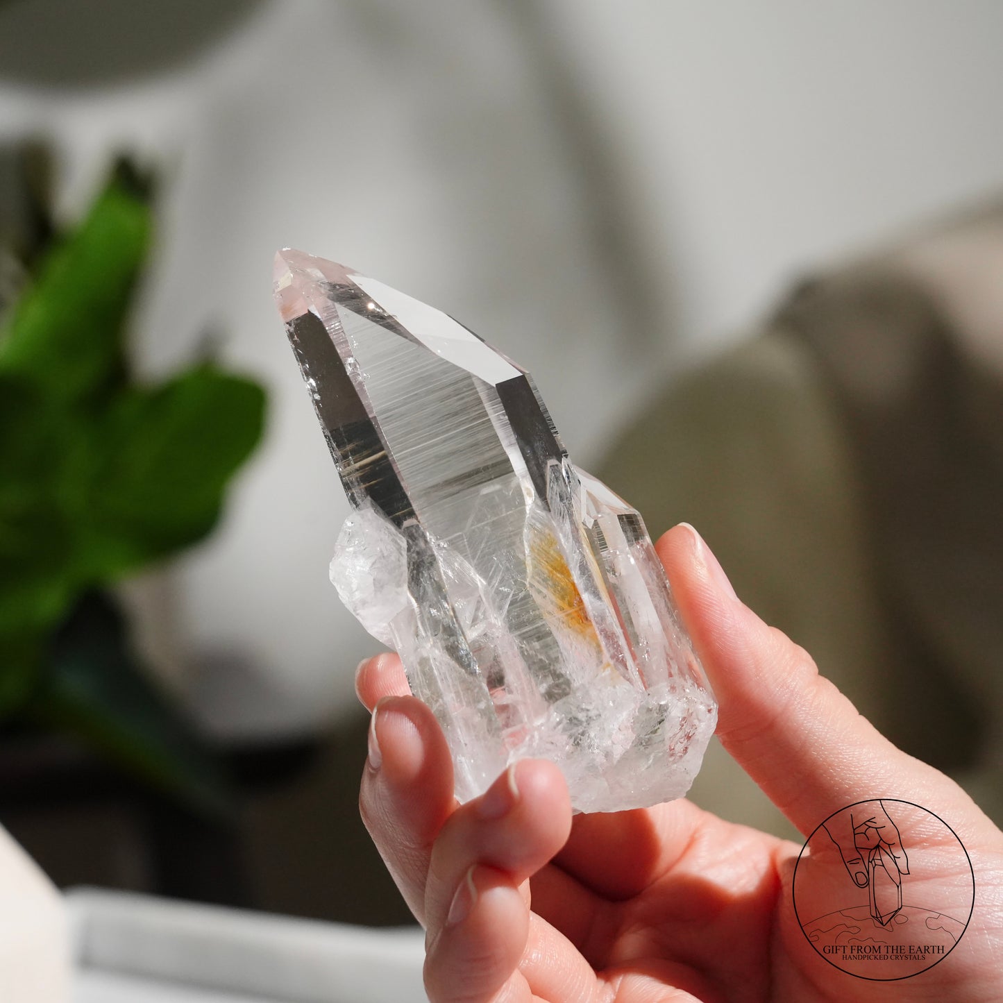Colombian lemurian quartz