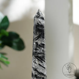 白水晶柱黑碧璽共生