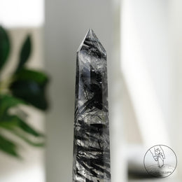 白水晶柱黑碧璽共生