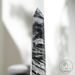 白水晶柱黑碧璽共生