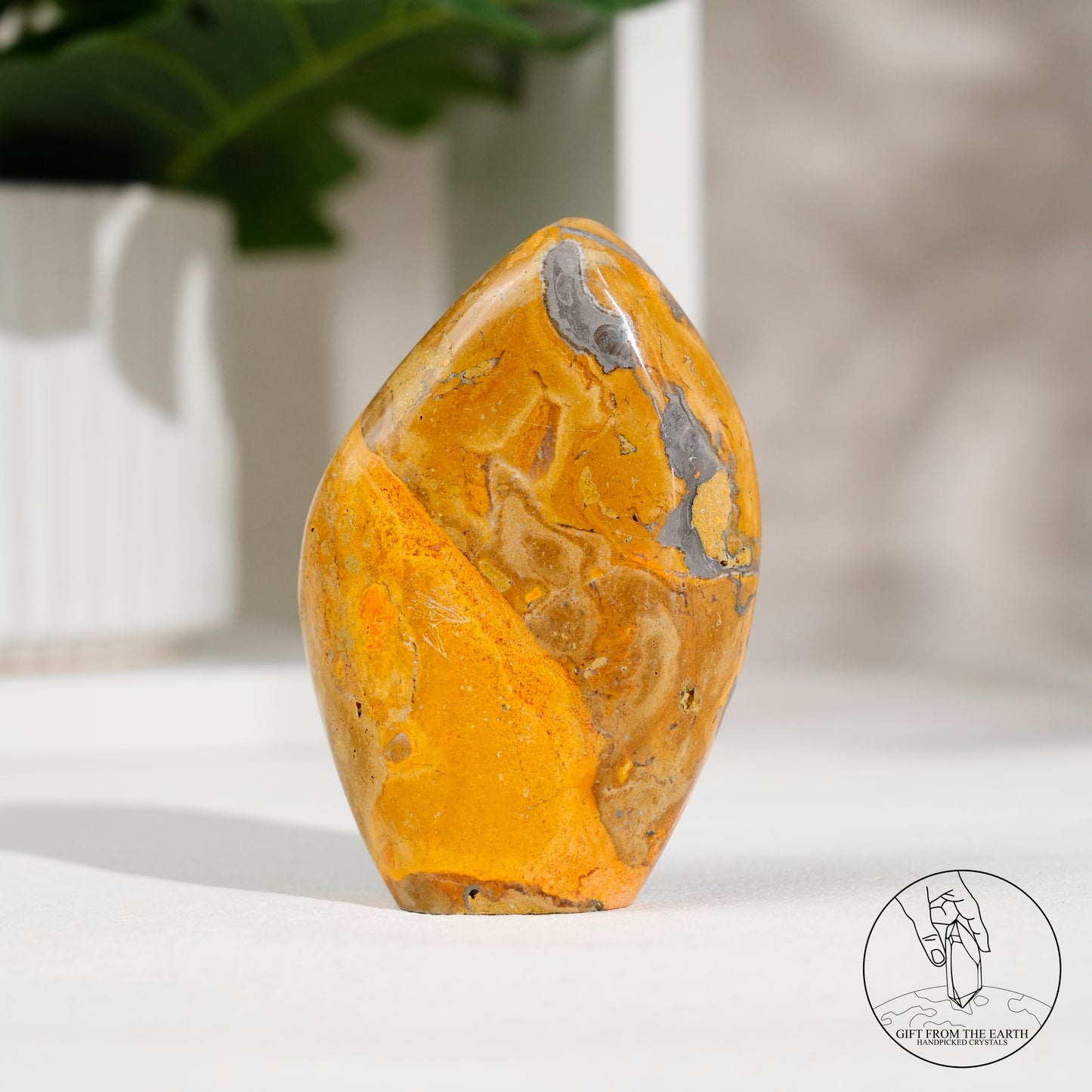 大黃蜂碧玉隨形