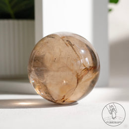 茶晶球黃金療癒者共生