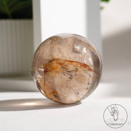 茶晶球黃金療癒者共生