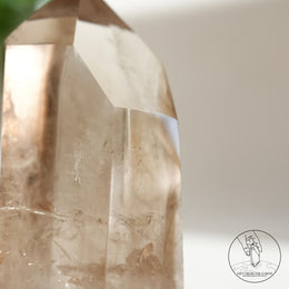 茶晶柱