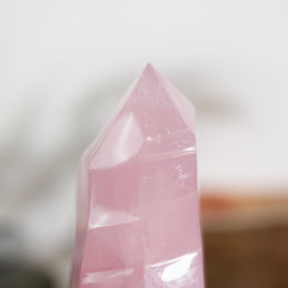 粉晶隨形 - Photo 5 - GFE-20260726-003
