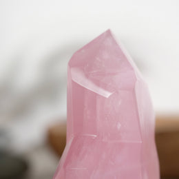 粉晶隨形 - Photo 9 - GFE-20260726-003