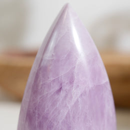 紫理輝隨形 - Photo 7 - GFE-20260726-013