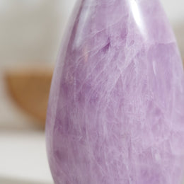 紫理輝隨形 - Photo 8 - GFE-20260726-013