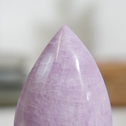 紫理輝隨形 - Photo 6 - GFE-20260726-014