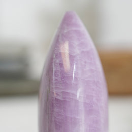 紫理輝隨形 - Photo 7 - GFE-20260726-014