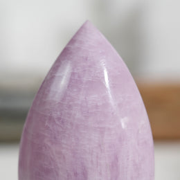 紫理輝隨形 - Photo 10 - GFE-20260726-014