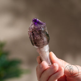 雙生超七水晶權杖