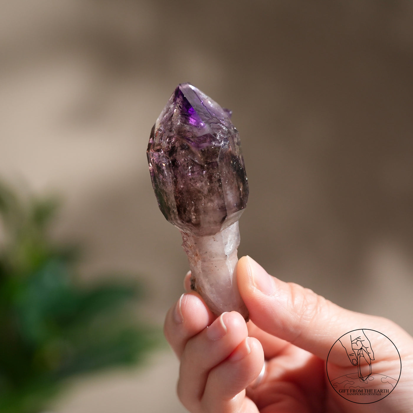雙生超七水晶權杖