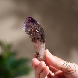 雙生超七水晶權杖