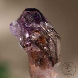 雙生超七水晶權杖
