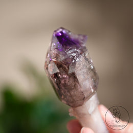 雙生超七水晶權杖