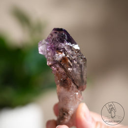 雙生超七水晶權杖