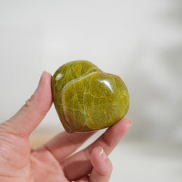 綠蛋白石心 - Photo 10 - GFE-20260726-009