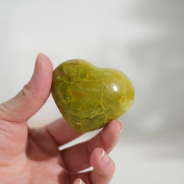 綠蛋白石心 - Photo 10 - GFE-20260726-010