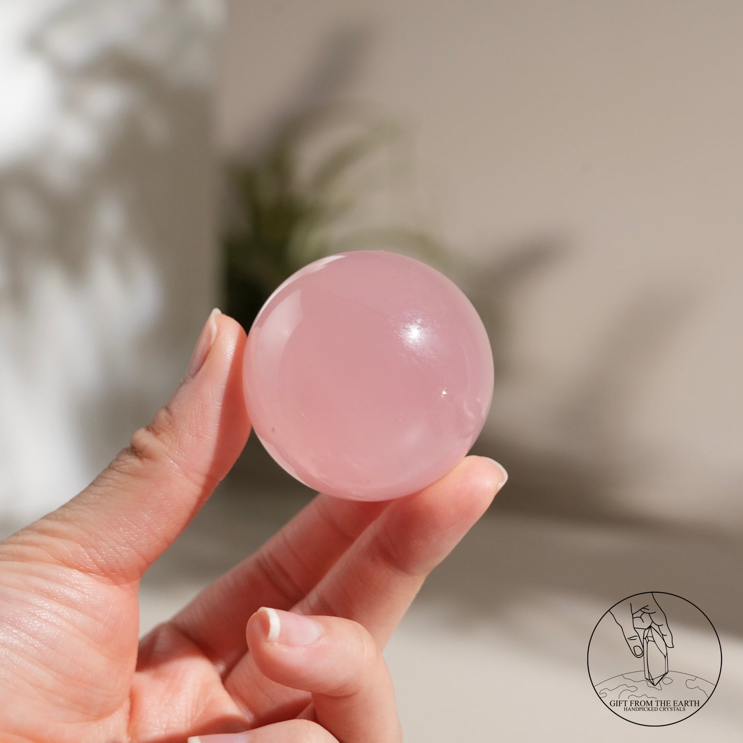 Mozambique Stary Rose Quartz Sphere